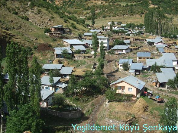 Şenkaya Yeşildemet Köyü Resimleri 6