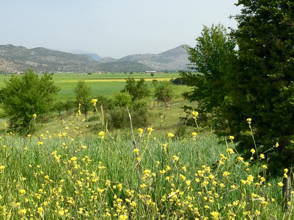 Antalya Alanya Bademağacı Köyü Resimleri 6