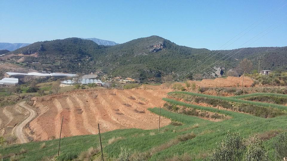 Antalya Alanya Büyükpınar Köyü Resimleri 1