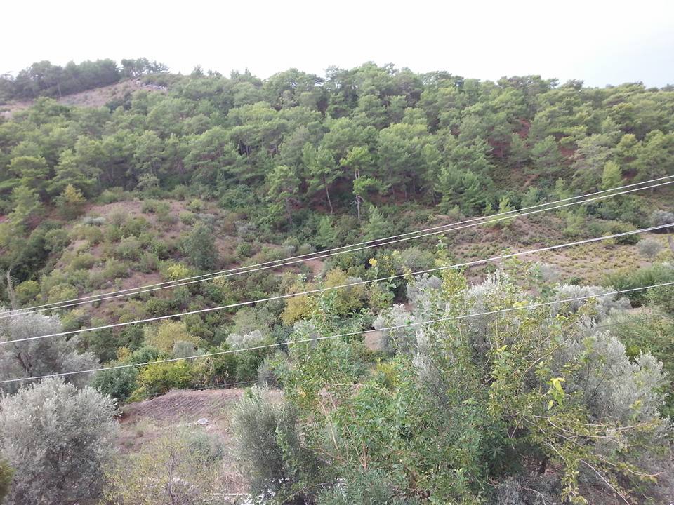 Antalya Alanya Büyükpınar Köyü Resimleri 11