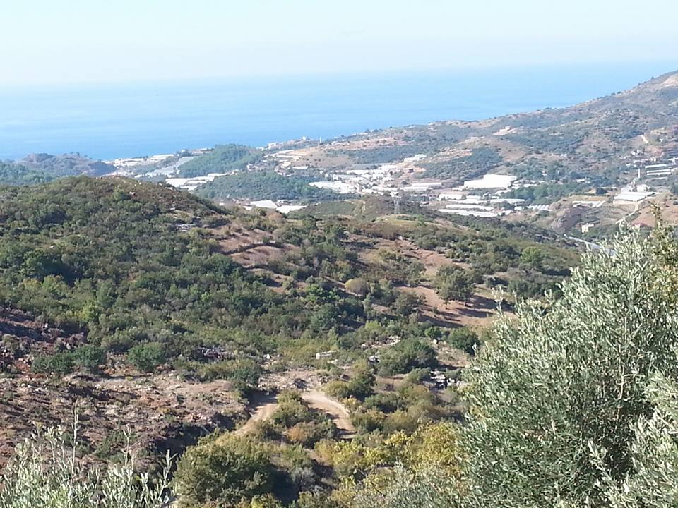 Antalya Alanya Büyükpınar Köyü Resimleri 3