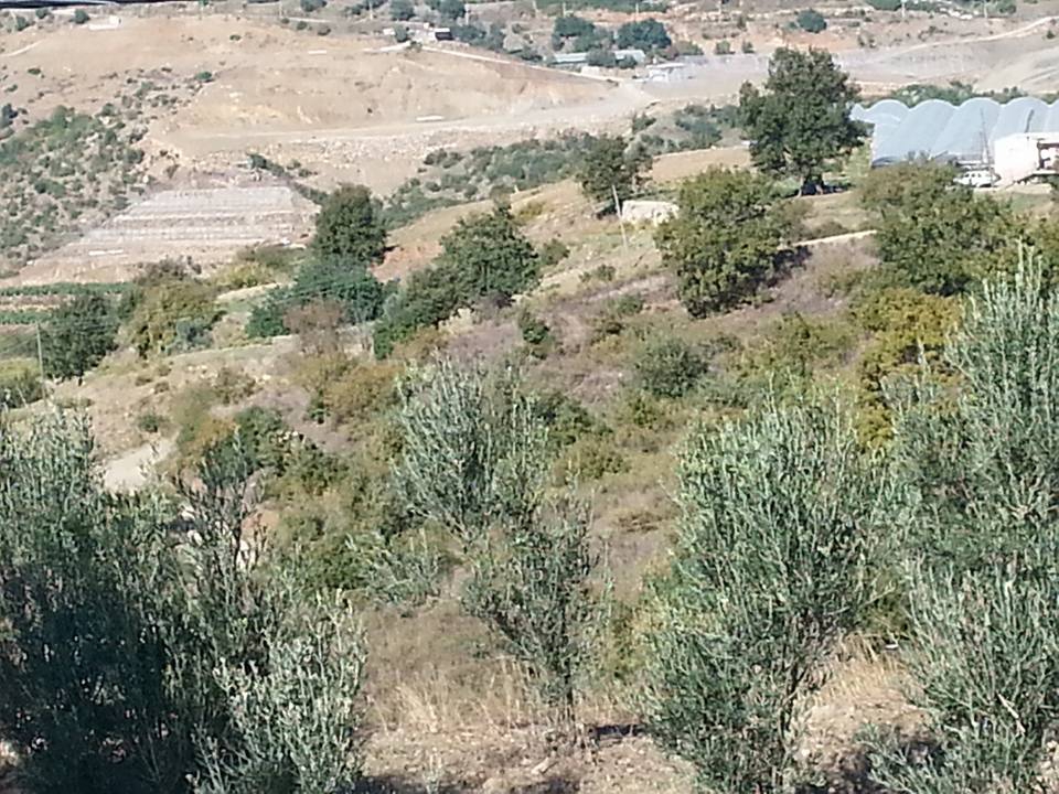 Antalya Alanya Büyükpınar Köyü Resimleri 4