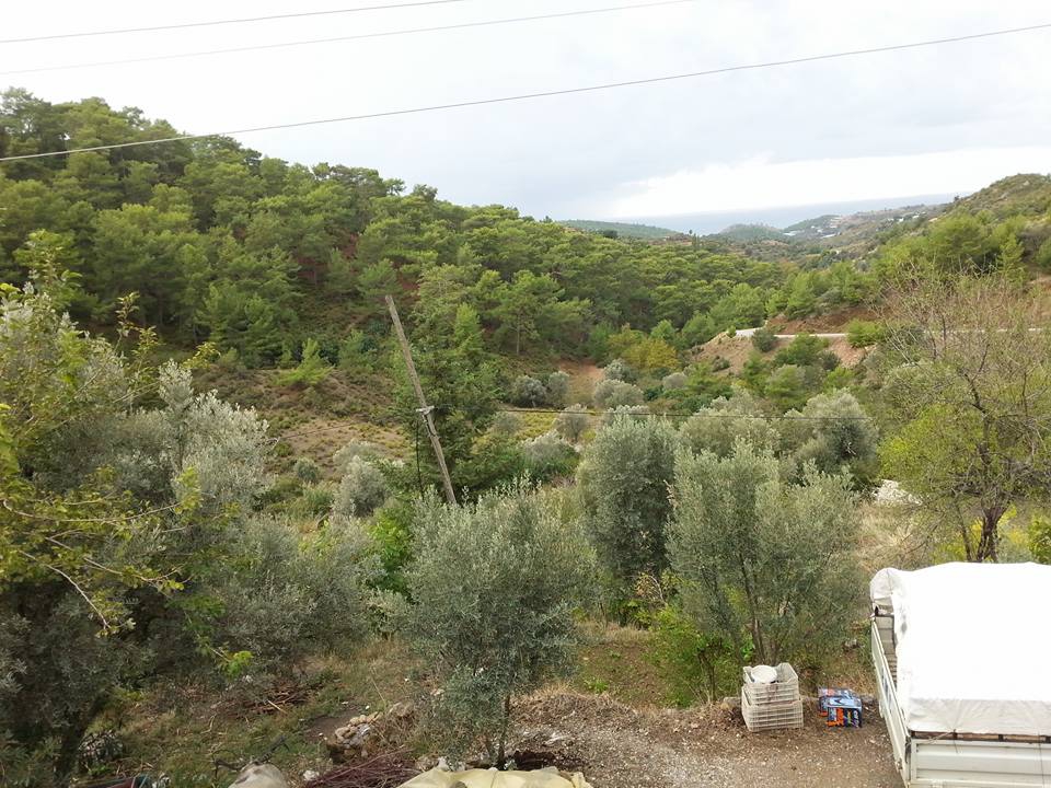 Antalya Alanya Büyükpınar Köyü Resimleri 8