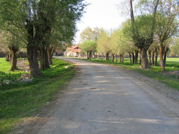 Gerede Dursunfakı Köyü Resimleri 1