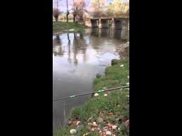 Gerede Dursunfakı Köyü Resimleri 5