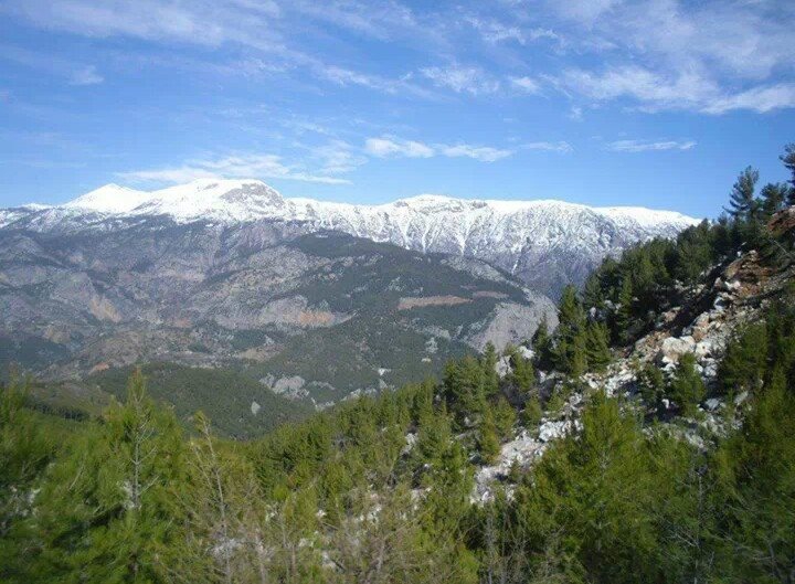 Antalya Alanya Gümüşkavak Köyü Resimleri 14