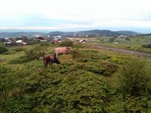 Gerede Havullu Köyü Resimleri 2