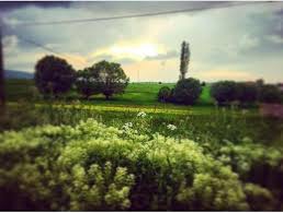 Gerede İnköy Köyü Resimleri 4