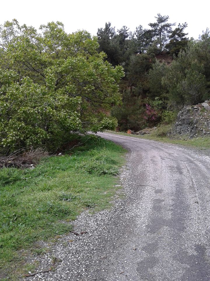 Soma Devlethan Köyü Resimleri 3