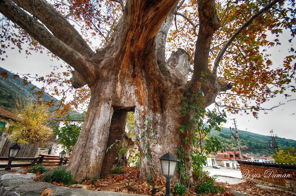 Soma Göktaş Köyü Resimleri 4