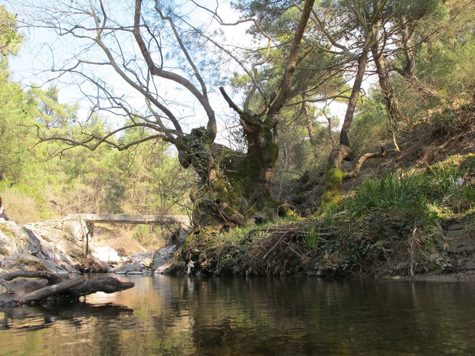 Soma Göktaş Köyü Resimleri 5