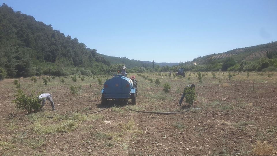 Soma Hacıyusuf Köyü Resimleri 5
