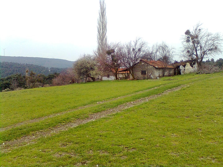 Soma Heciz Köyü Resimleri 12