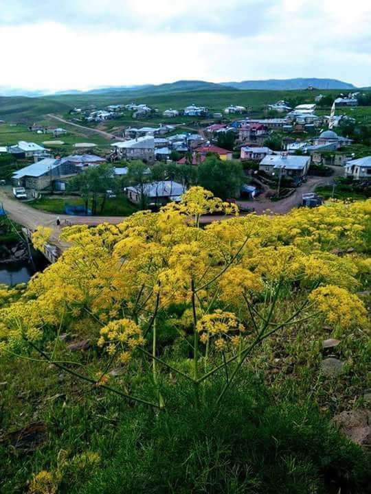 Tekman Düzyurt Köyü Resimleri 4