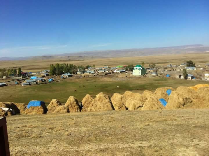 Tekman Koçyayla Köyü Resimleri 2