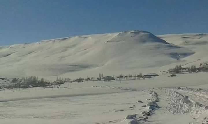 Tekman Koçyayla Köyü Resimleri 3