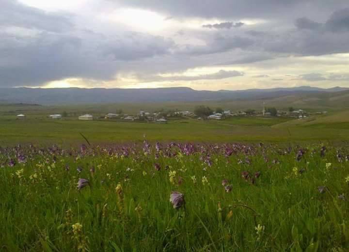 Tekman Koçyayla Köyü Resimleri 4