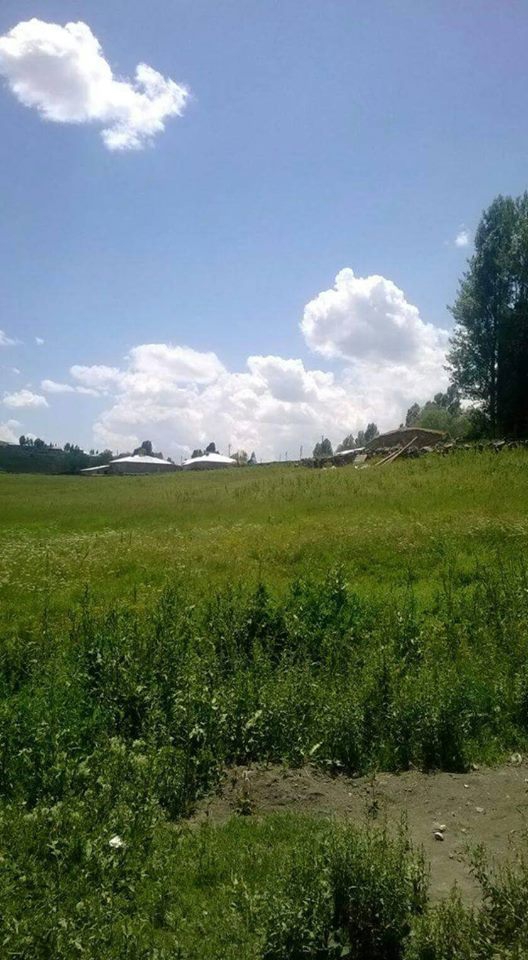 Tekman Koçyayla Köyü Resimleri 6