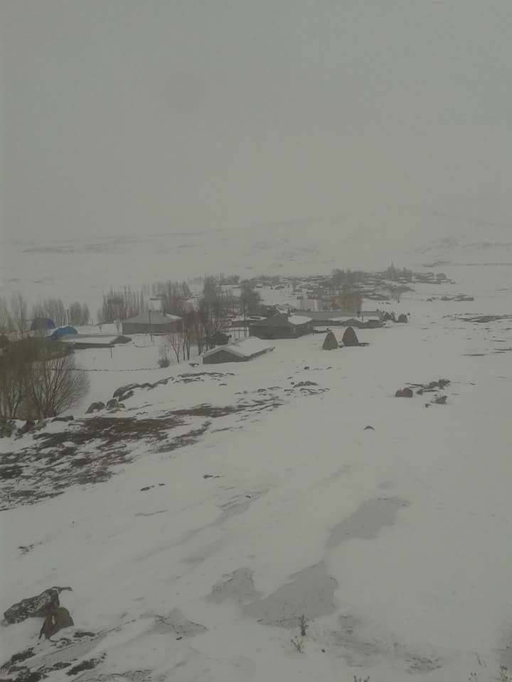 Tekman Koçyayla Köyü Resimleri 8