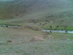 Tekman Yeşilören Köyü Resimleri 4