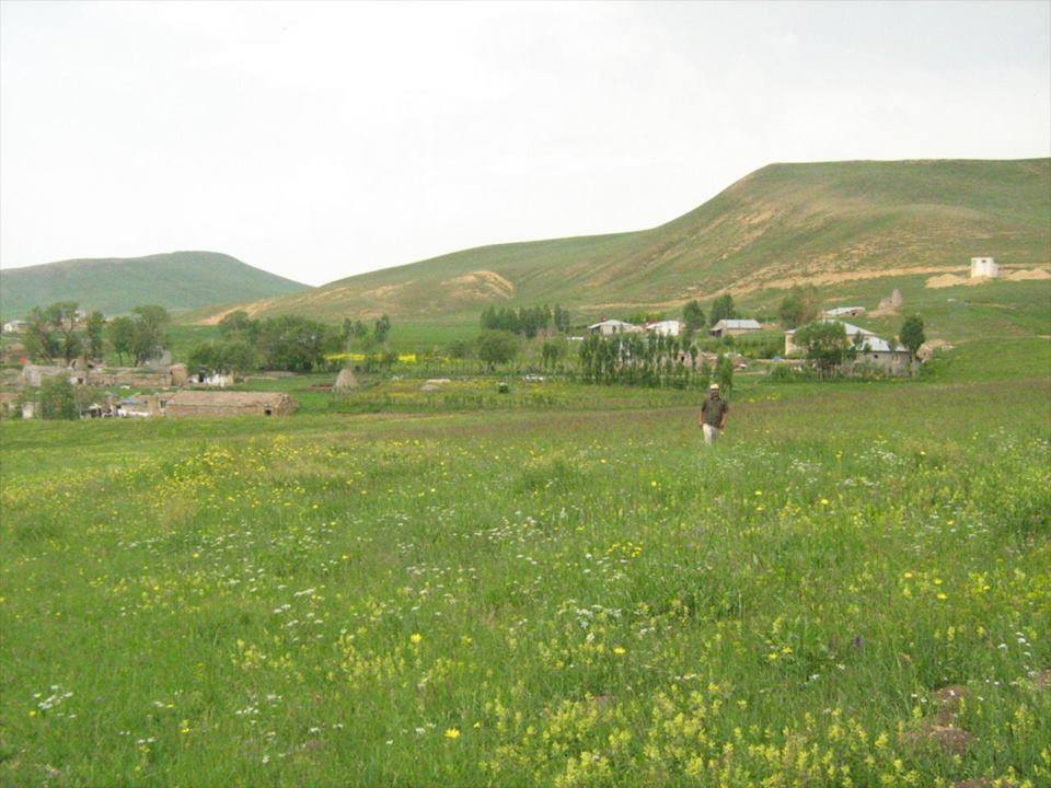 Tekman Yoncalı Köyü Resimleri 1