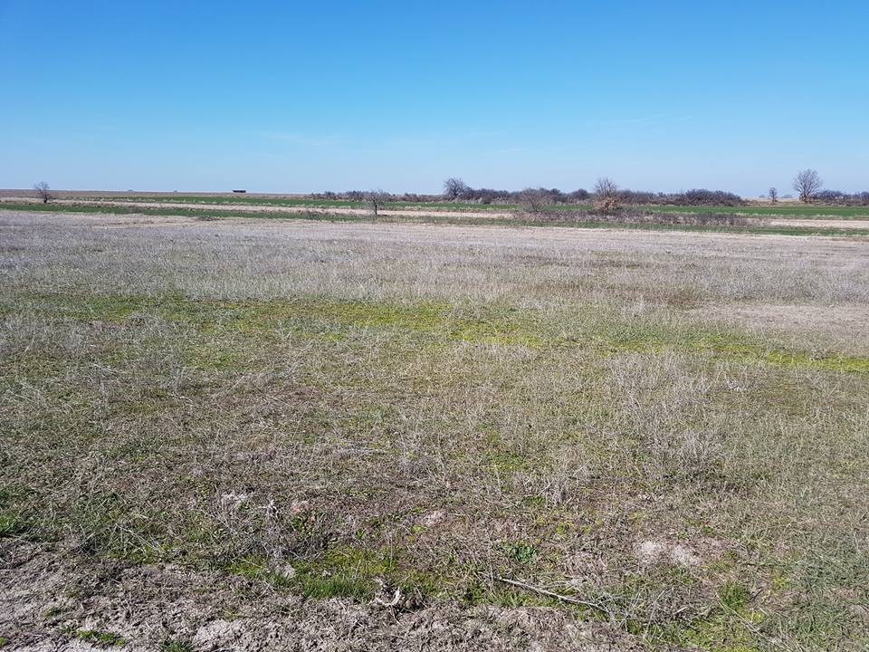 Tekman Yoncalı Köyü Resimleri 2