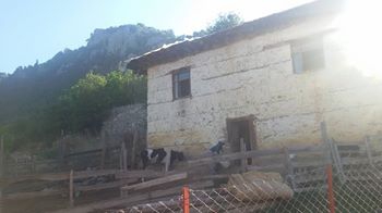 Antalya Alanya İmamlı Köyü Resimleri 1