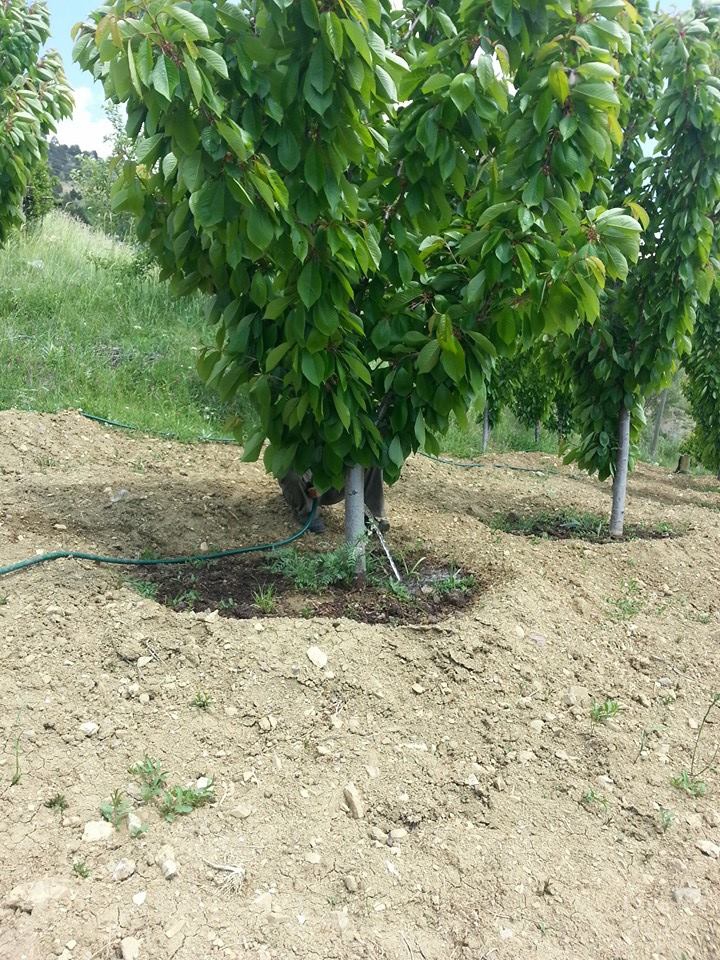 Antalya Alanya İmamlı Köyü Resimleri 19