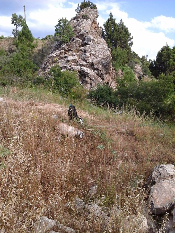 Antalya Alanya İmamlı Köyü Resimleri 24