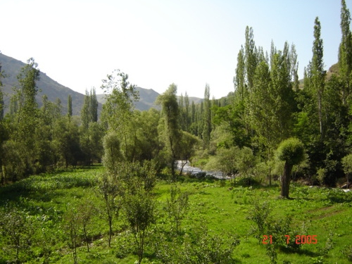 Tortum Alapınar Köyü Resimleri 6