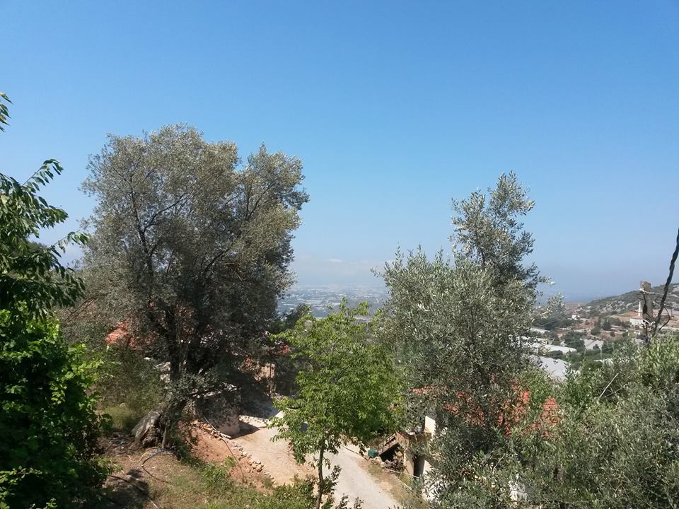 Antalya Alanya Kayabaşı Köyü Resimleri 17