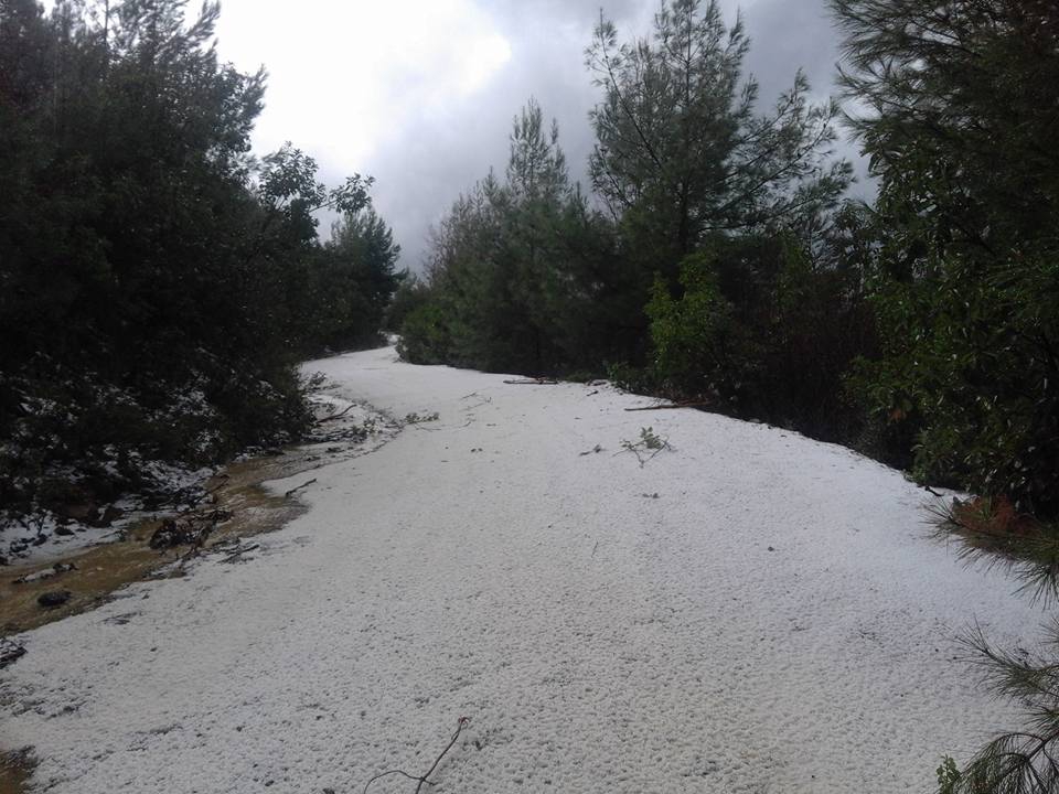 Antalya Alanya Kayabaşı Köyü Resimleri 9