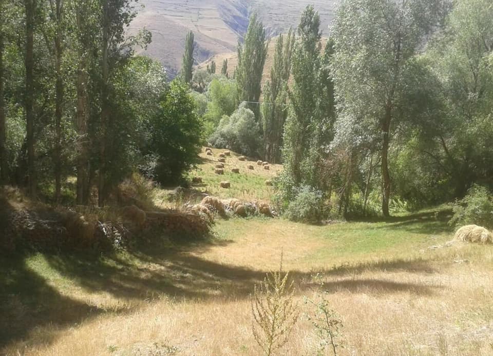 Tortum Ballı Köyü Resimleri 1