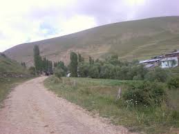 Tortum Çardaklı Köyü Resimleri 3