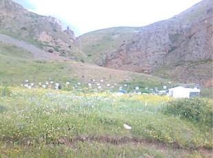 Tortum Çardaklı Köyü Resimleri 5