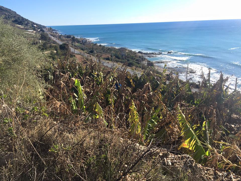 Antalya Alanya Keşefli Köyü Resimleri 11
