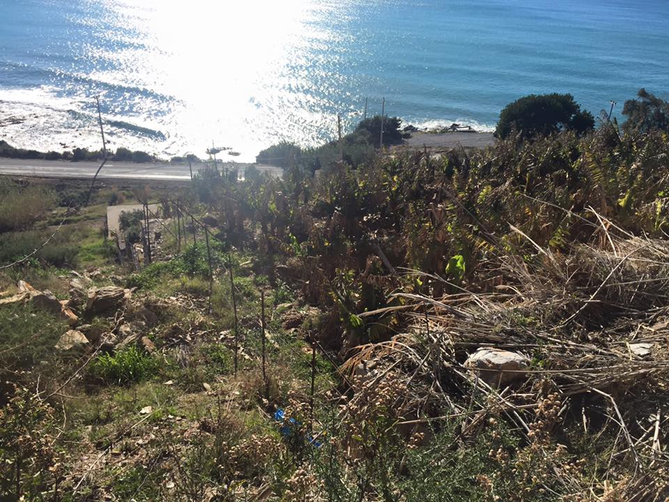 Antalya Alanya Keşefli Köyü Resimleri 14