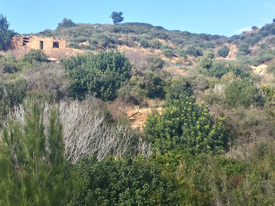 Antalya Alanya Keşefli Köyü Resimleri 15