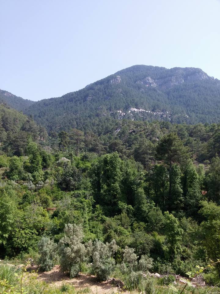 Antalya Alanya Obaalacami Köyü Resimleri 11