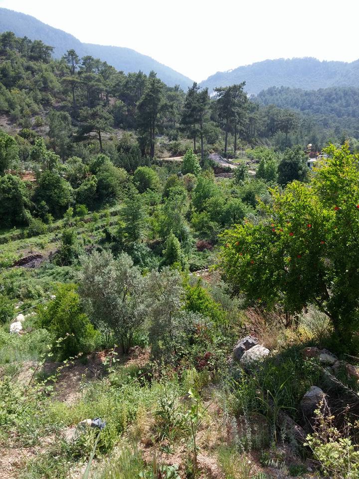 Antalya Alanya Obaalacami Köyü Resimleri 15