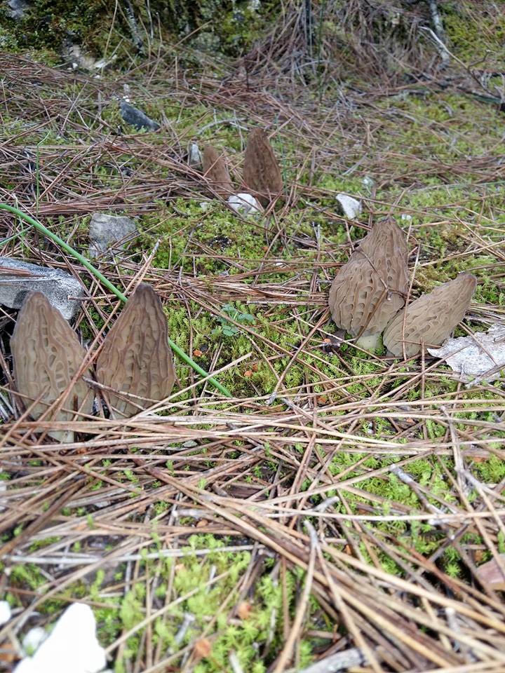 Antalya Alanya Obaalacami Köyü Resimleri 16