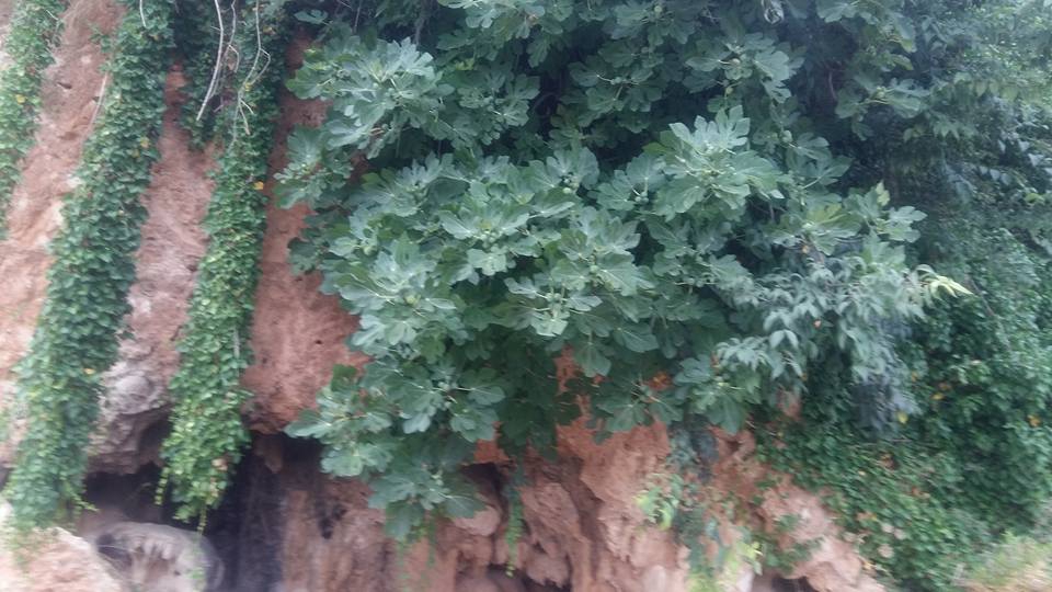 Antalya Alanya Obaalacami Köyü Resimleri 4