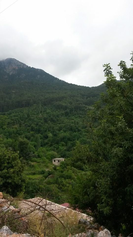 Antalya Alanya Obaalacami Köyü Resimleri 8
