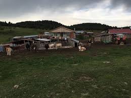 Gerede Mangallar Köyü Resimleri 1