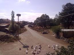 Gerede Mangallar Köyü Resimleri 2