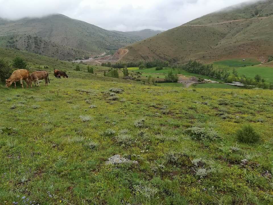 Tortum Çiftlikköy Köyü Resimleri 3