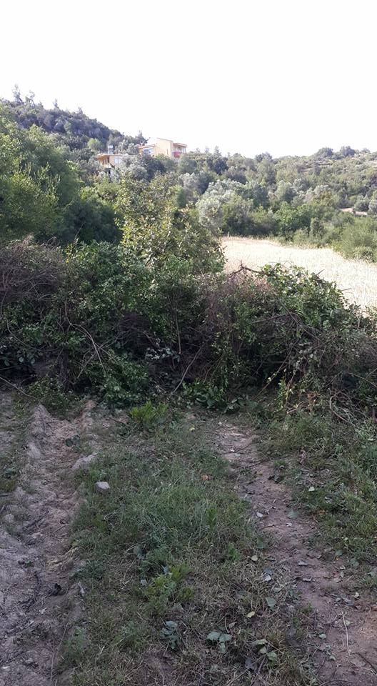 Antalya Alanya Saburlar Köyü Resimleri 4