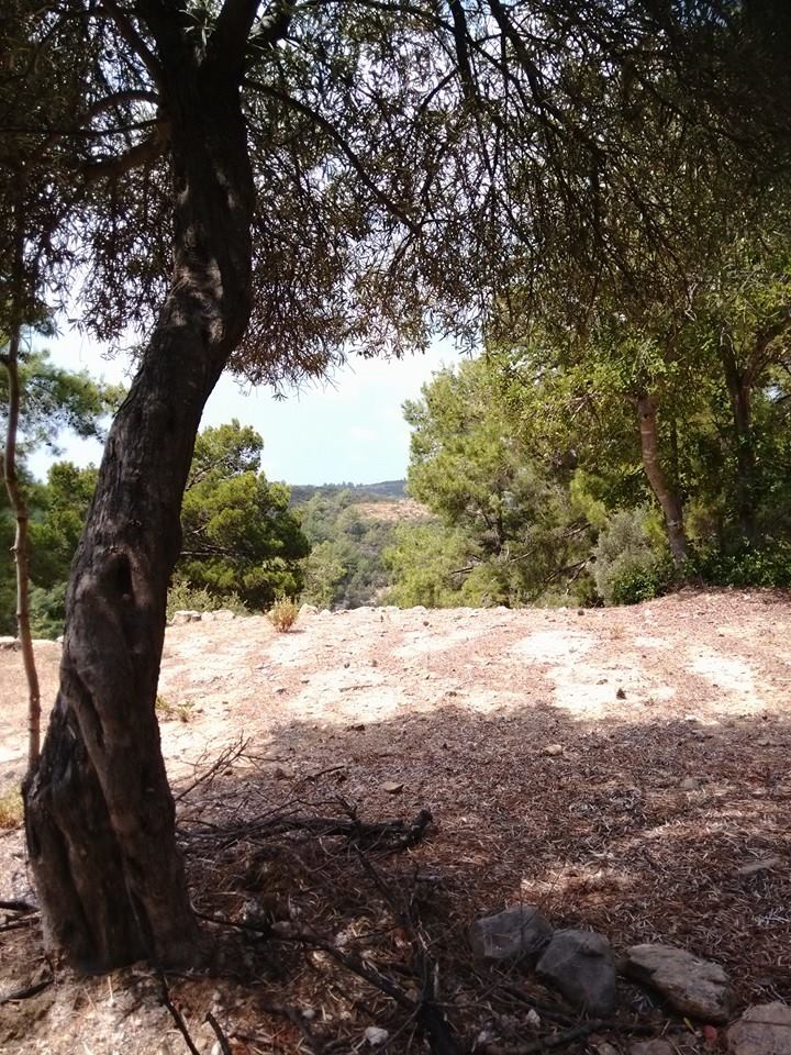 Antalya Alanya Saburlar Köyü Resimleri 7