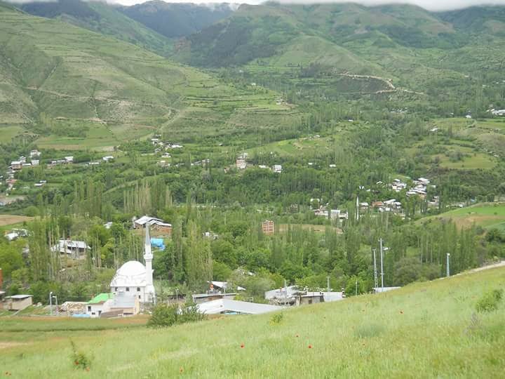 Tortum Dikmen Köyü Resimleri 2