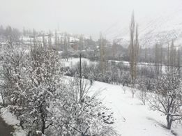 Tortum Dikmen Köyü Resimleri 3